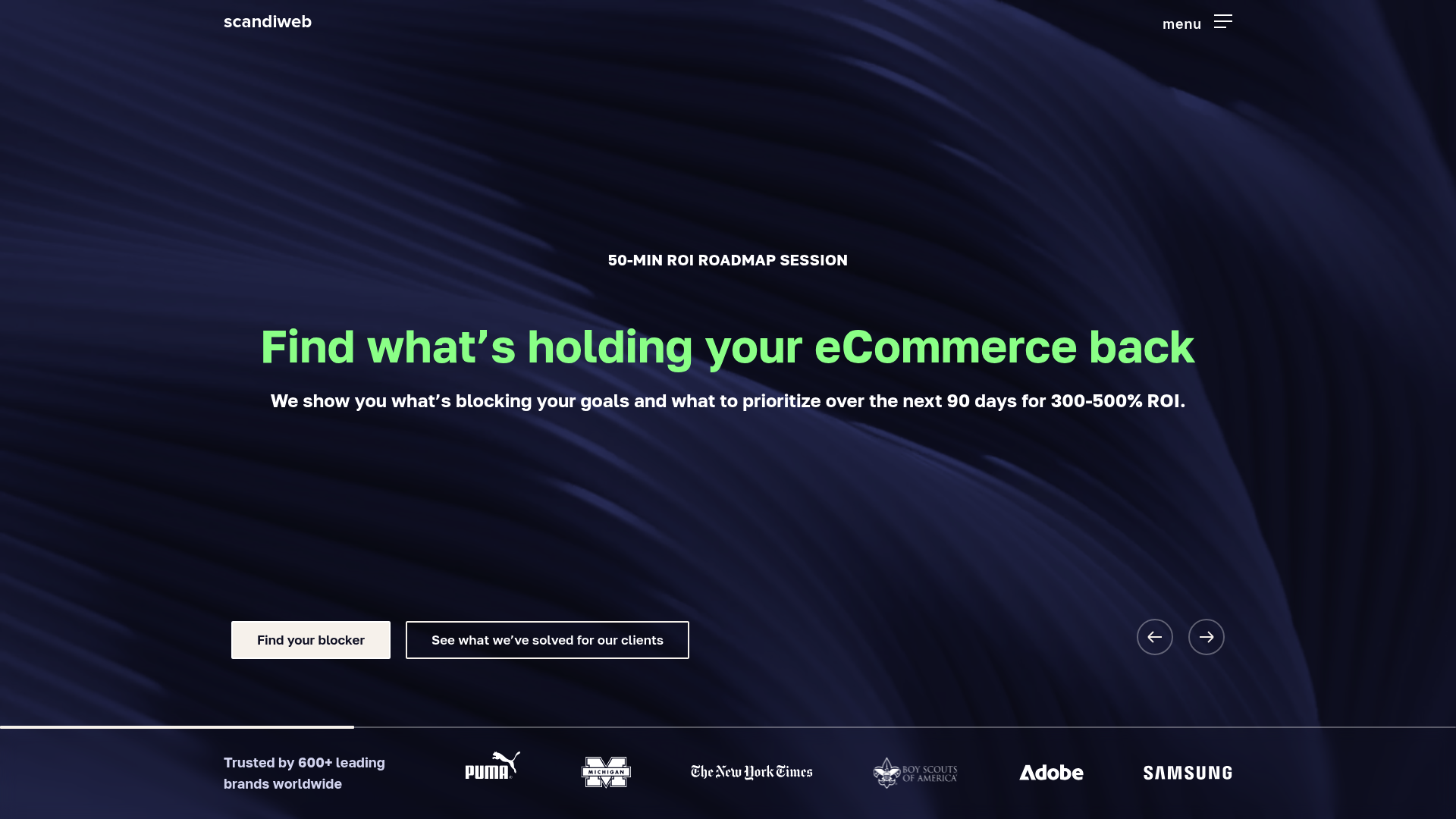 Scandiweb - eCommerce Agency for Marketing & Web Development | IvaraX